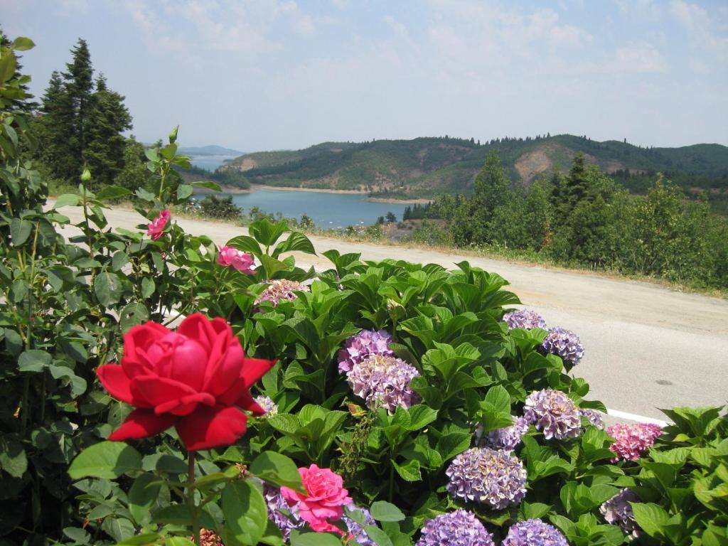 Guesthouse Moúcha 客房 照片